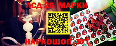 a pvp Кингисепп