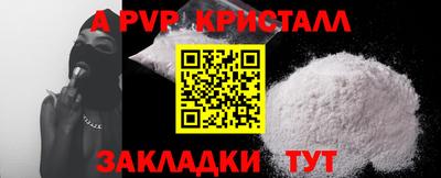 a pvp Кингисепп
