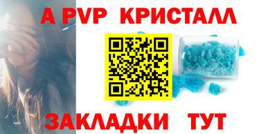 a pvp Кингисепп