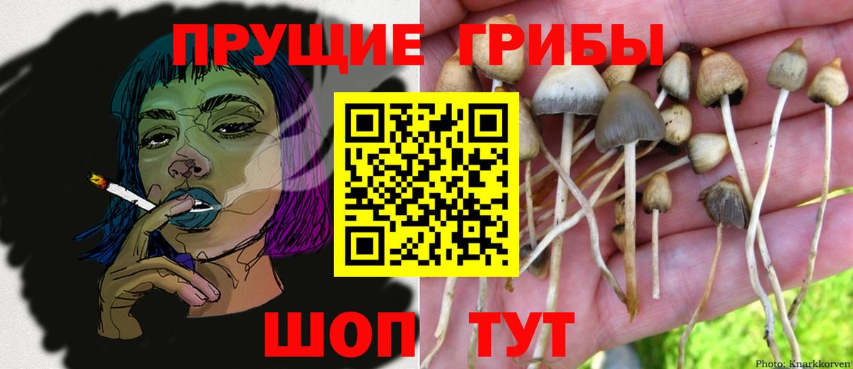 Псилоцибиновые грибы Magic Shrooms  Вход с VPN  Лангепас  Псилоцибиновые грибы мухоморы 